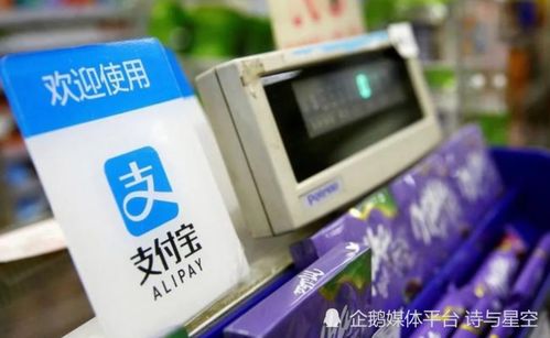 支付宝变更为无实际控制人 网络互联技术服务的新篇章